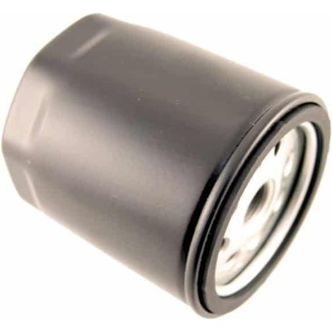 Filtro combustible Ruggerini 175-20