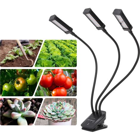 Lampe LED pour plantes succulentes, clips pour plantes, lampe de croissance pour plantes, lampe pour plantes avec minuterie, noire (norme britannique). (1/5)