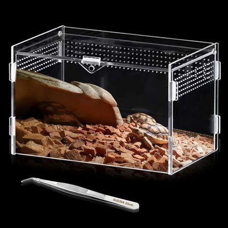 1 Acryl-Terrarium, transparent, 20 x 12 x 12 cm, Magnetverschluss, für Reptilien und Frösche (1/5)