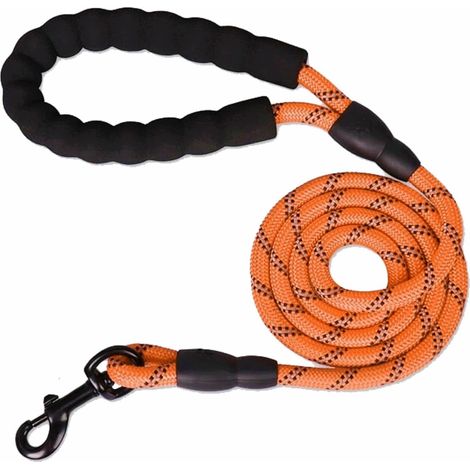 Laisse Chien - 150 cm x 1,2 cm - Nylon Renforcé avec Poignée Rembourrée et Fils Réfléchissants - Pour Chiens Moyens à Grands - 1 Pièce (1/5)