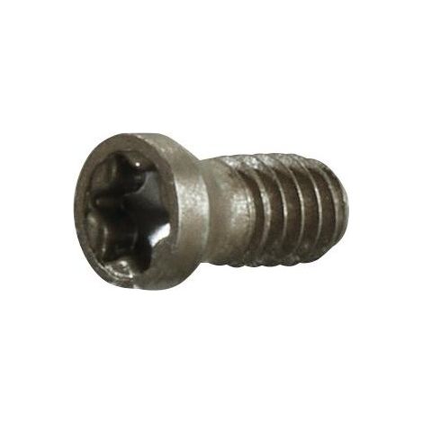 Vis de serrage taille T5 pour taille du panneau APKT...06 M2 ad. à fraise en bout/2 tailles/de viss.