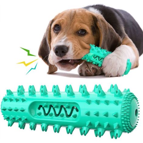Jouets pour chien - Bâtons de dentition à mâcher - Brosse à dents à mâcher à 360° - Jouet dentaire pour chien de petite ou (1/5)