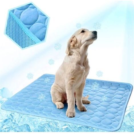 Tapis rafraîchissant pour animaux - 1 pièce - 100 x 70 cm - Bleu - Couverture de glace auto-rafraîchissante - Lit rafraîchissant pour animaux (1/5)