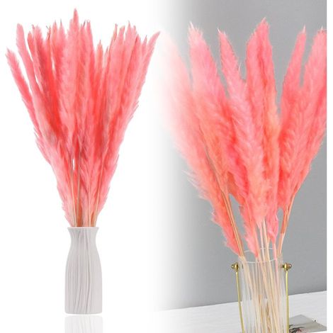 Herbe De La Pampa Séchée - 30 Tiges Naturelles - Décoration Intérieure Et Photographie - Longueur 44 Cm - Assortiment De Couleurs (1/5)