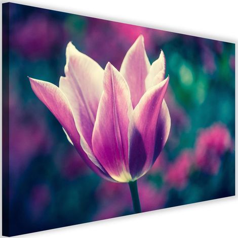 Tableau sur toile Tulipes fleurs nature lilas 60x40 (1/5)