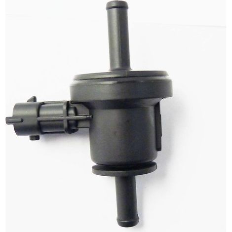 Valve de purge du canister d'évaporation pour Hyundai Accent, Elantra, Genesis et Kia Rio (1/4)