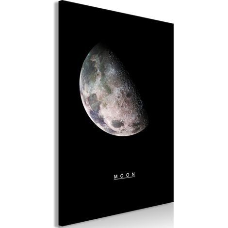 Quadro - Moon (1 Part) Vertical - 40x60 (1/4)