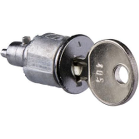 Schloss schneider-electric lvsxs2 Metall 2 Schlüssel robust