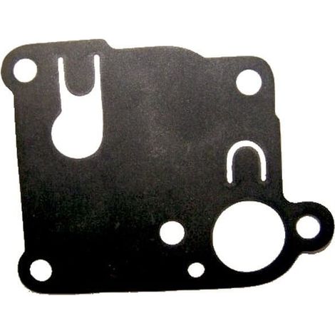 Membrane pompe BRIGGS ET STRATTON 270253