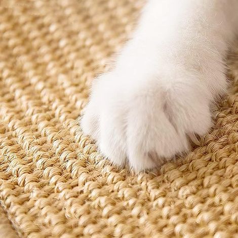 Lot de 2 tapis à griffer en sisal pour chat - Grand format 60 x 40 cm - Coussin à griffer pour moquette - Avec velcro - Tapis à griffer mural pour chats d'intérieur (1/5)