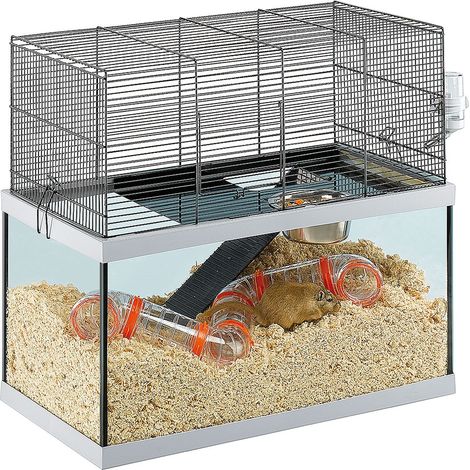 Ferplast GABRY 60 Cage pour rongeurs FERPLAST GABRY 60 : Convient aux Gerbilles, Hamsters, design italien, accessoires inclus.. Variante GABRY 60 - Misure: 60 x 31.5 x h 52 cm - (1/2)