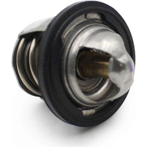 Thermostat de refroidissement GTS300, argent