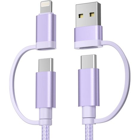 Câble de Charge Multi USBC 1M, 4 en 1 Universel Type C Charge Rapide avec Ports USB A/Lightning pour Mini 6/5 Air 4 Pro 10e Génération, 8/9, Galaxy S10 S9 FE (1/5)