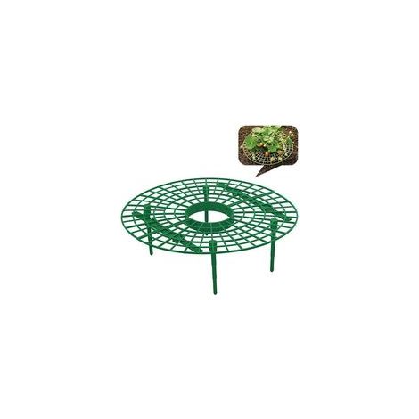 Lot de 10 filets amovibles pour fraises - Empêche la pourriture (Lot de 5, Vert) (1/5)