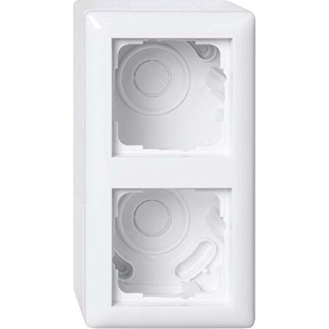 GIRA 4010337076773 BOÎTIER DE MONTAGE EN SAILLIE 2F + CADRE 106203 STANDARD 55 BLANC