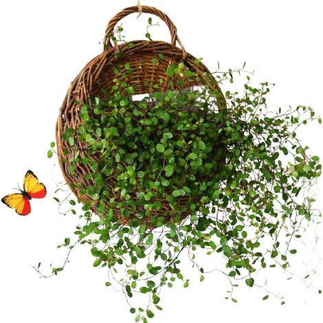 Panier en rotin naturel fait main - Pot de fleurs mural tressé, organisateur de rangement décoratif Décoration intérieure pour la maison, le jardin, un mariage, la chambre, la cuisine ou le salon (1/5)