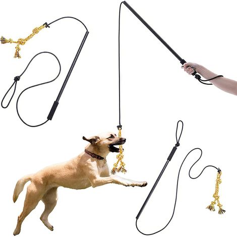 Bâton de flirt pour chien, bâton de flirt, jouet en corde d'extérieur, bâton de dressage interactif pour chien (1/5)