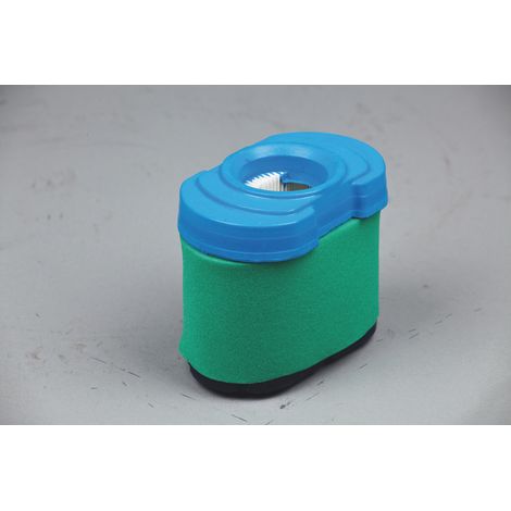 Luftfilter für Rasenmäher kompatibel BRIGGS & STRATTON 407777, 445577, 445677 (1/2)