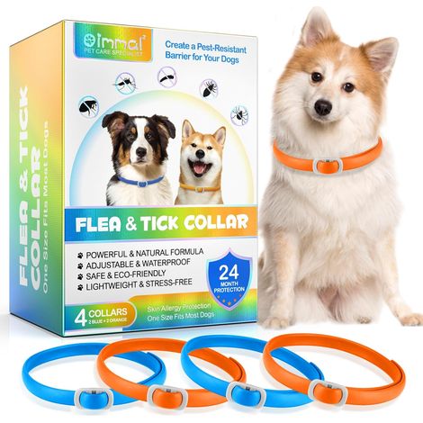 Collier Anti Puces pour Chien, 4 Pièces Anti Tiques pour Chien, Réglable et Imperméable, Sûr et Naturel, Longueur 60cm, Protection 24 Mois, pour Chiens de Petite Moyenne et Grande Taille (Bleu&Orange) (1/5)