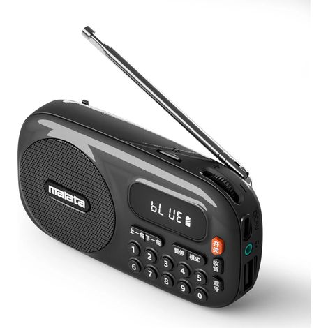 Radio FM portable avec écran LED, plage de réception optimale 70-108 MHz, haut-parleur intégré de 5 W, lecteur de musique barre de son Bluetooth sans fil. (1/5)