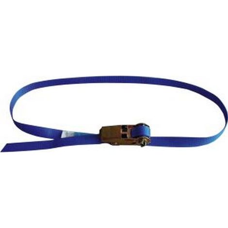 Correa de amarre con carraca, una pieza, anchura de la cinta 25mm 6m 1unidades 250- 500daN