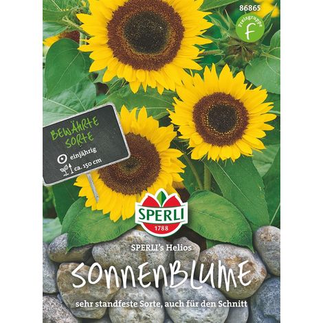 Sperli Sonnenblumen Helios - Blumensamen (1/2)