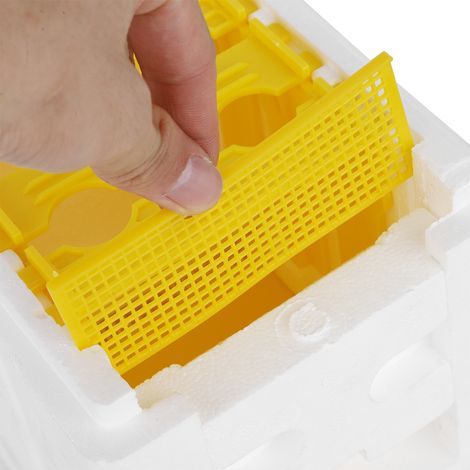 Königinnen-Begattungsbox – Schaumstoff + Kunststoff – Mini-Leichtbaubox für Apis mellifera – Maße: 24 x 15 x 16,5 cm mit Ausbruchsicherung (1/5)