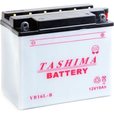 Batterie Plomb Tashima Renforcée 12v, 19a . L: 175, L: 100, H: 155mm, + à Droite Pour Jet-ski, Motoneige . (livrée Sans Acide).