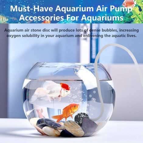 Lot de 8 Diffuseurs d'Air en Forme de Disque avec Tube pour Aquarium, Bassin et Culture Hydroponique, Pierres à Bulles pour Pompe à Air (1/5)
