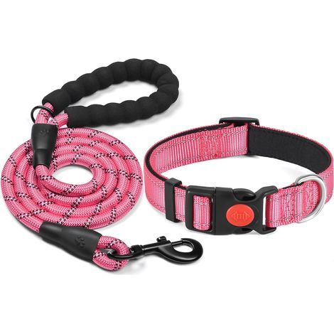 Collier pour Chien réfléchissant rembourré en néoprène Souple et Respirant, réglable en Nylon pour Petits, Moyens et Grands Chiens Rose (1/5)