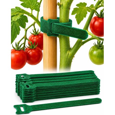 Packung mit 100 Bändern zum Anbinden von Gartenpflanzen mit Haken und Schlaufen – wiederverwendbare und verstellbare Nylonbänder (1/4)