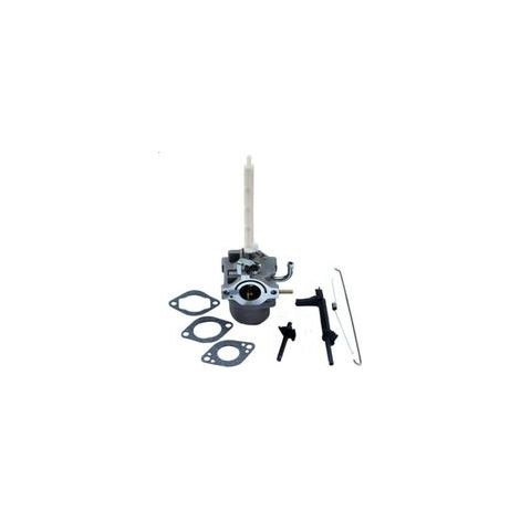Carburatore DOLASO per Briggs & Stratton 796122 794593 20A (1/5)