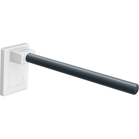 HEWI 950.50.11099 92 Poignée SK Mono, L : 600 mm, plast. (1/2)