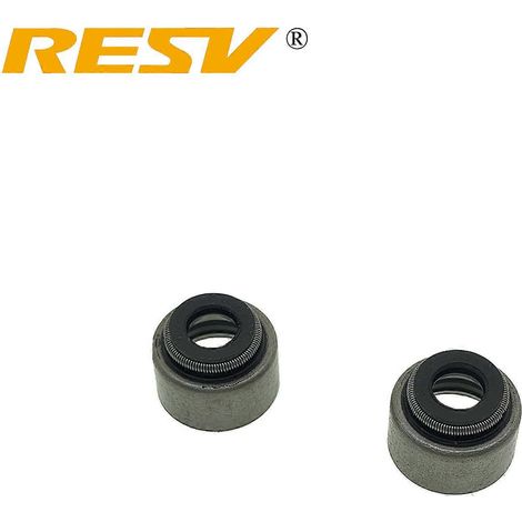 Adecuado para Yamaha TW125 1999-2004 SR125 SR150 SRZ150 SR SRZ 125cc 150cc Válvula de admisión Válvula de escape Retén de aceite (2 retenes) (1/3)