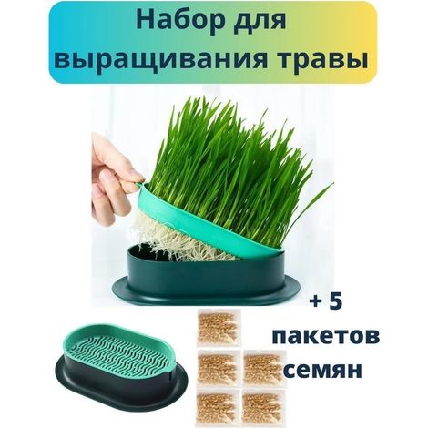 Kit de culture d'herbe à chat et à chien, herbe à chat, graines de blé en pot, plateau de semis, terreau, culture hydroponique (1/5)