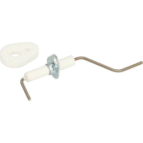 Electrode d'ionisation avec joint