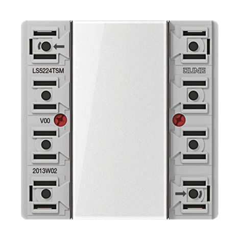 Modulo sensor 24V AC/DC 20mA 2 canales 4 puntos conmutacion LS5224TSM JUNG