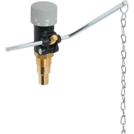 Afriso Feuerungsregler Feuerzugsregler FR 1 40-100°C 3/4'' AG 42294 (1/4)