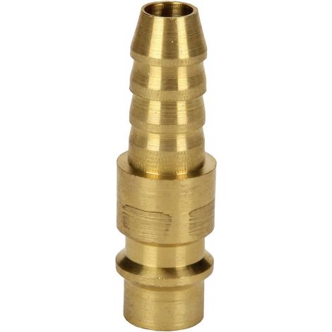 Einhell 4139661 Beccuccio a innesto per aria compressa 1 pz.