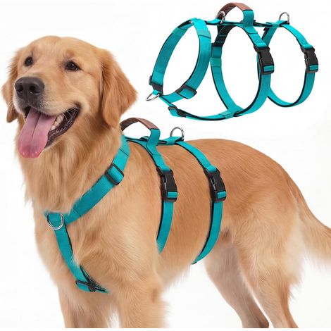 Harnais Anti Traction pour Chien, Harnais Anti Fugue Chien Réglable avec Poignée et Attache Devant, pour Chiens de Grande et Moyenne Taille (Sarcelle, XL) (1/5)