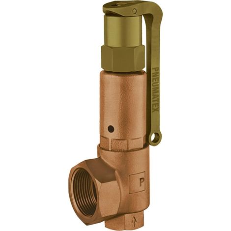 PNEUMATEX Soupape de sécurité DSV25-4,0 DGH, Bronze rouge, 5363040