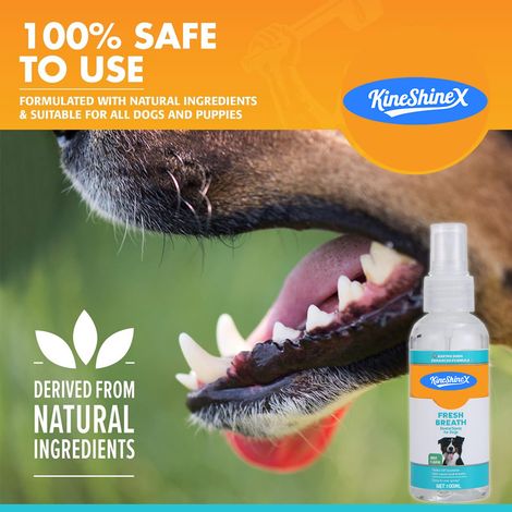 KineShineX Pet Dental Cleansing, Mouthwash, Disinfecting, Deodorizing, Freshening, Odor Eliminating, Universal Antibacterial (1/5)