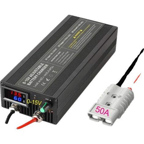 Chargeur de batterie lithium, courant réglable, compatibilité polyvalente, DL60A-A (1/2)
