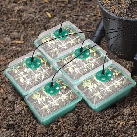 Mini Serre - Bac à Semis 60 Cellules avec Lampe de Croissance - Pour Germination et Culture Intérieure - 5 Pièces (1/4)