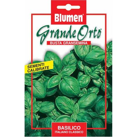 SEMI BASILICO GENOVESE MAXI ORTO BLUMEN