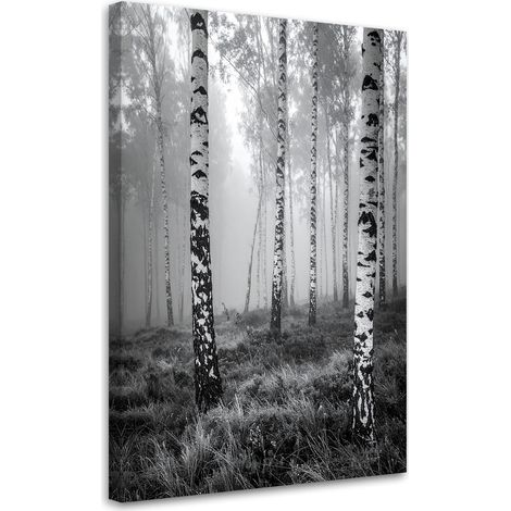 Bilder Birkenwald Schwarz-Weiß-Ansicht 30x45 (1/5)