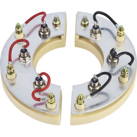 Module redresseur rotatif RSK2001, accessoire pour générateur redresseur en pont (1/5)