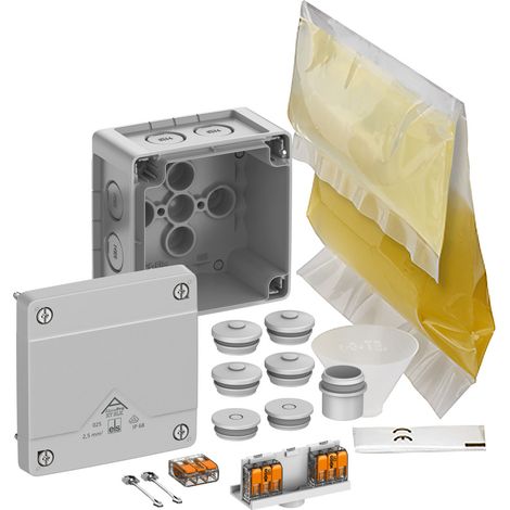 Spelsberg Abox Pro XT SLK-2,5², IP68, IK09, privo di alogeni, 40246001
