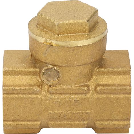 Clapet anti-retour automatique unidirectionnel en laiton DN15 pour eau, huile et milieux acides (1/5)