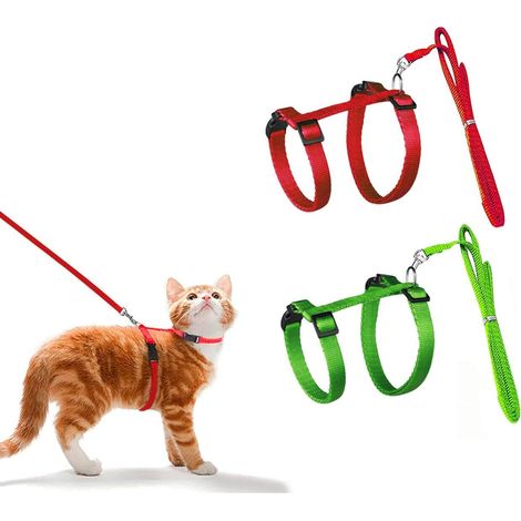 Harnais et Laisse Réglables pour Chat - Ensemble de Promenade Confortable et Durable (1/5)